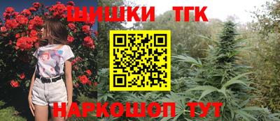 гашик Можга