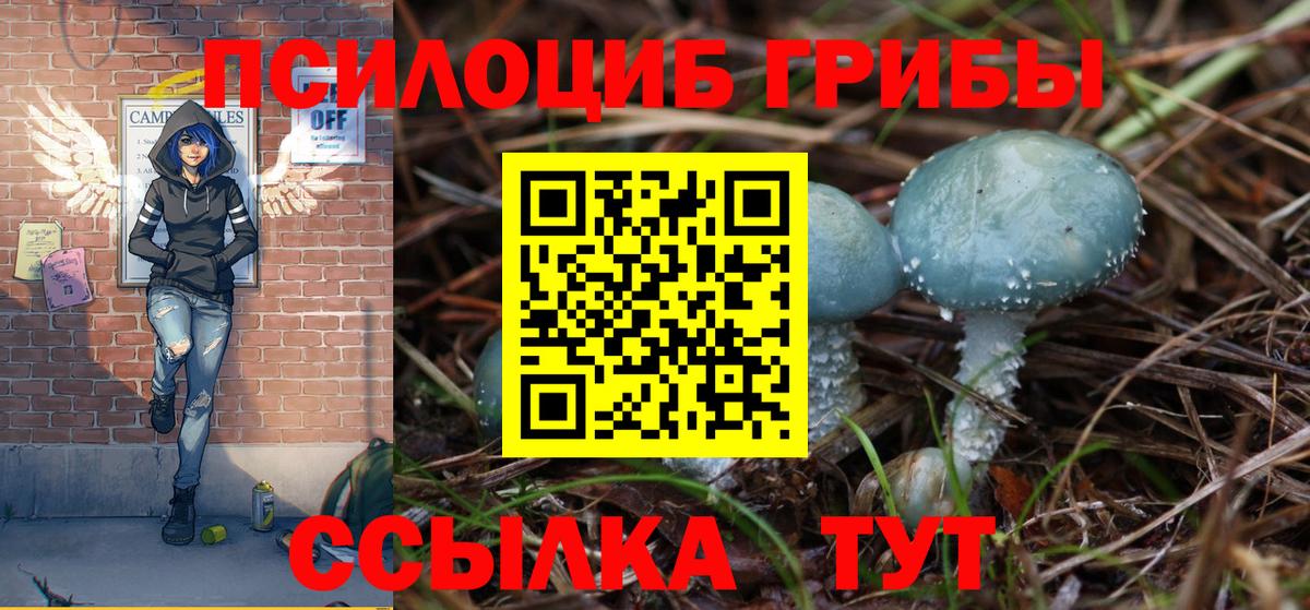 Псилоцибиновые грибы Psilocybe Усолье-Сибирское