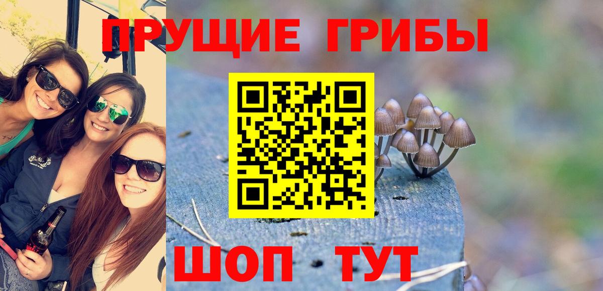 Усолье-Сибирское  Псилоцибиновые грибы ЛСД  Псилоцибиновые грибы Psilocybine cubensis  Вход с VPN 